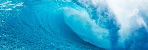We are fluid and adaptable, we surf the wave of each customer!